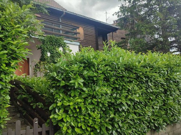 appartamento in vendita a San Benedetto Val di Sambro