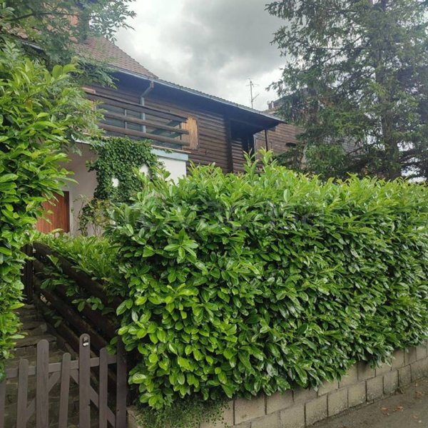 casa indipendente a San Benedetto Val di Sambro in zona Madonna dei Fornelli
