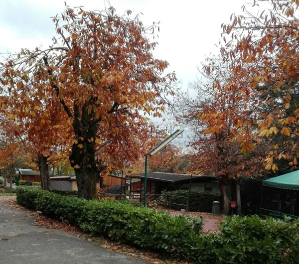 monolocale in vendita a San Benedetto Val di Sambro