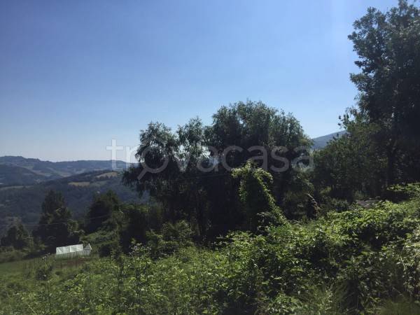 casa indipendente a San Benedetto Val di Sambro in zona Madonna dei Fornelli