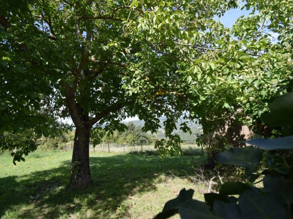 terreno agricolo in vendita a San Benedetto Val di Sambro in zona Qualto