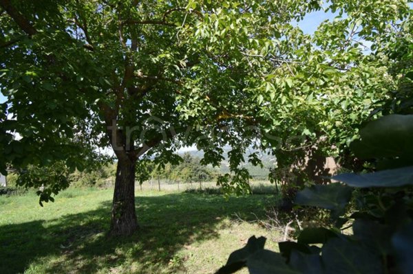 terreno agricolo in vendita a San Benedetto Val di Sambro in zona Qualto