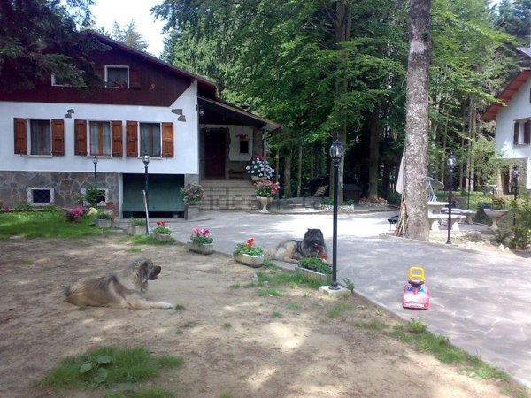 casa indipendente in vendita a San Benedetto Val di Sambro