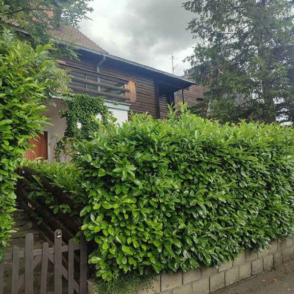 casa indipendente a San Benedetto Val di Sambro in zona Madonna dei Fornelli