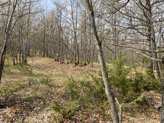 terreno agricolo in vendita a San Benedetto Val di Sambro in zona Ripoli