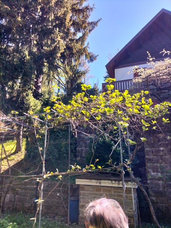casa indipendente a San Benedetto Val di Sambro in zona Piano del Voglio
