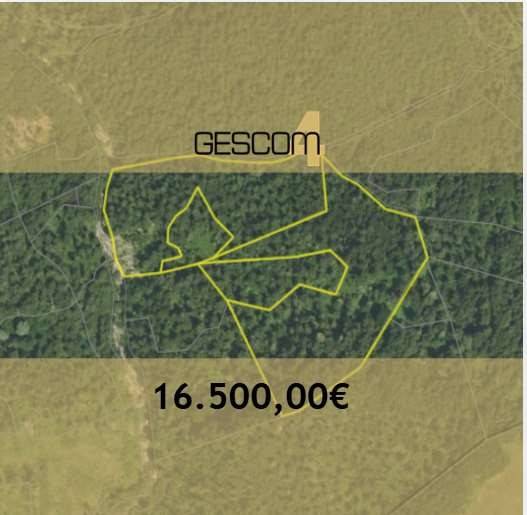 terreno agricolo a San Benedetto Val di Sambro in zona Madonna dei Fornelli