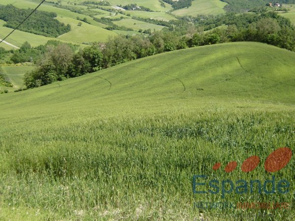casa indipendente in vendita a San Benedetto Val di Sambro in zona Cedrecchia