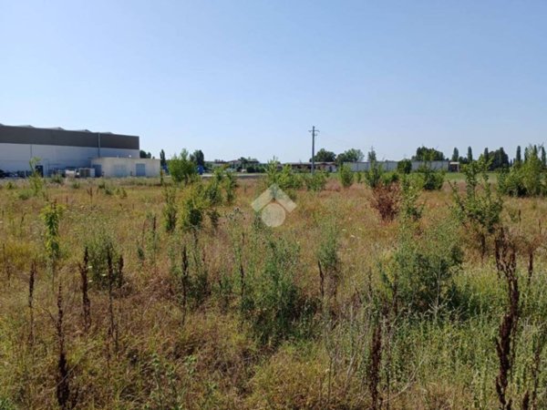 terreno agricolo in vendita a San Giorgio di Piano in zona Stiatico