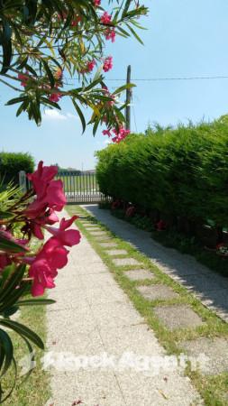 casa indipendente in vendita a San Giovanni in Persiceto in zona Decima