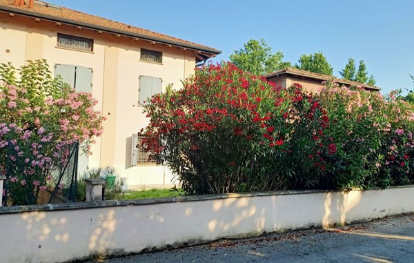 appartamento in vendita a San Giovanni in Persiceto