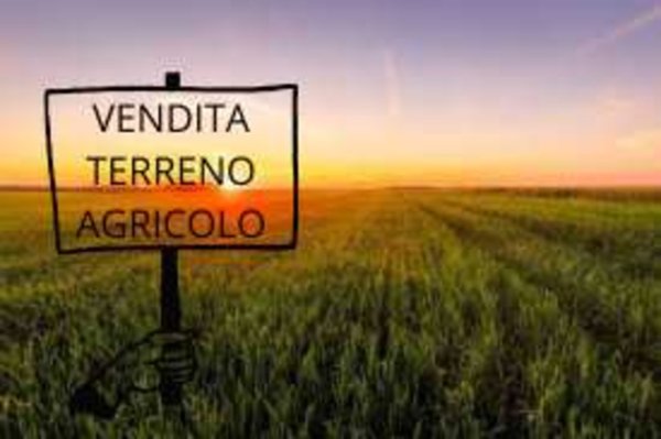 terreno agricolo in vendita a San Giovanni in Persiceto