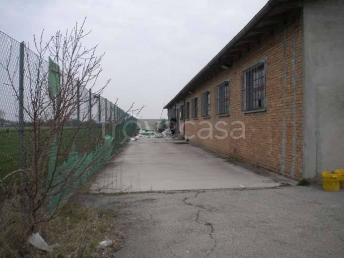 capannone in vendita a San Giovanni in Persiceto