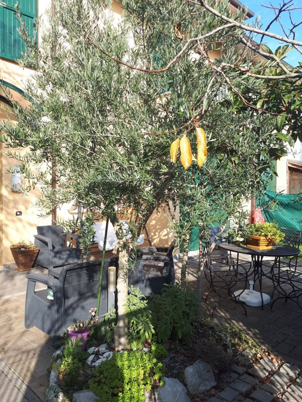 casa semindipendente in vendita a San Giovanni in Persiceto