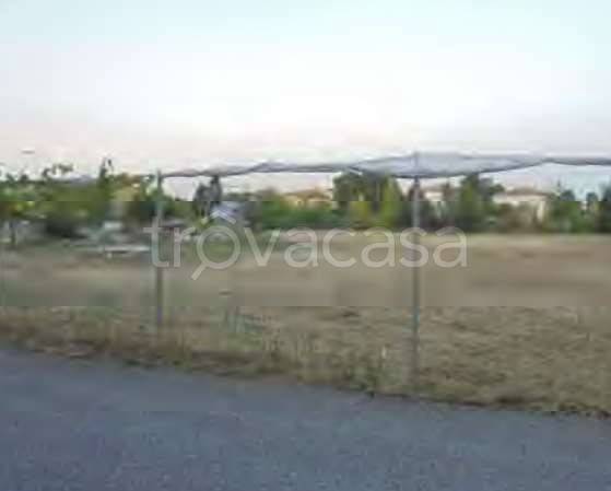terreno agricolo in vendita a San Giovanni in Persiceto