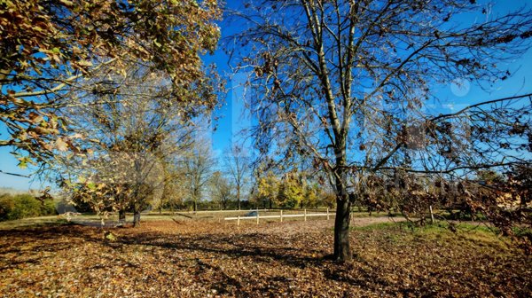 terreno in vendita a San Giovanni in Persiceto in zona Budrie