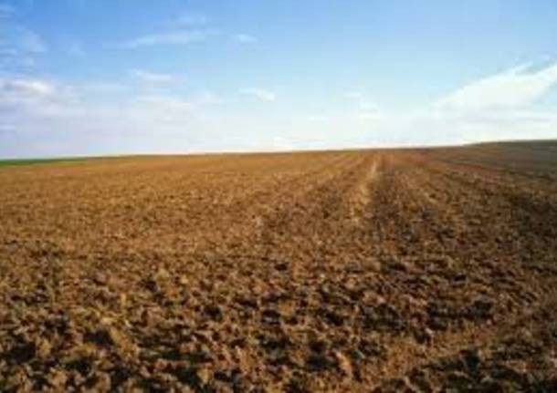 terreno agricolo in vendita a San Lazzaro di Savena in zona Colunga