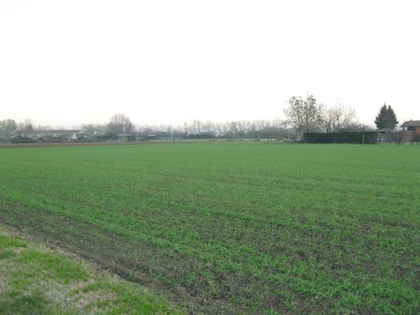 terreno agricolo in vendita a San Lazzaro di Savena in zona Colunga
