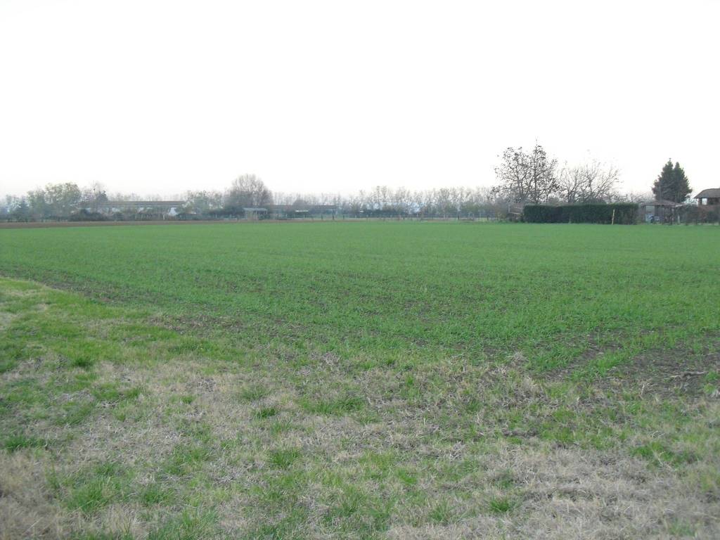 ufficio in vendita a San Lazzaro di Savena in zona Colunga