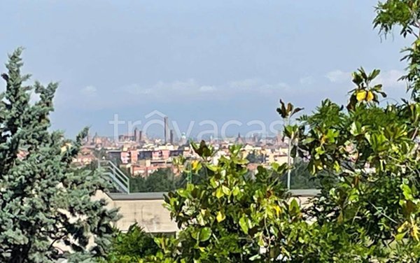 immagine annuncio 0 di 15