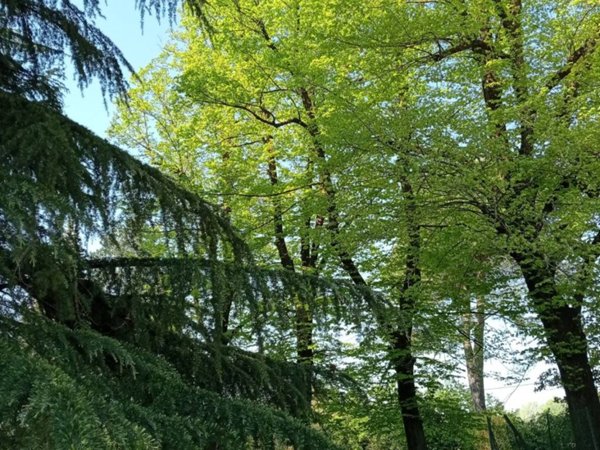 appartamento in vendita a San Lazzaro di Savena