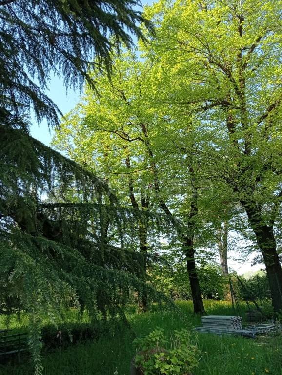 appartamento in vendita a San Lazzaro di Savena