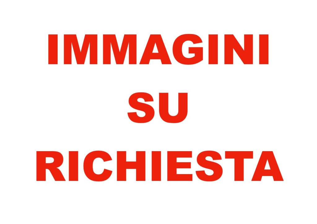 immagine annuncio 0 di 1