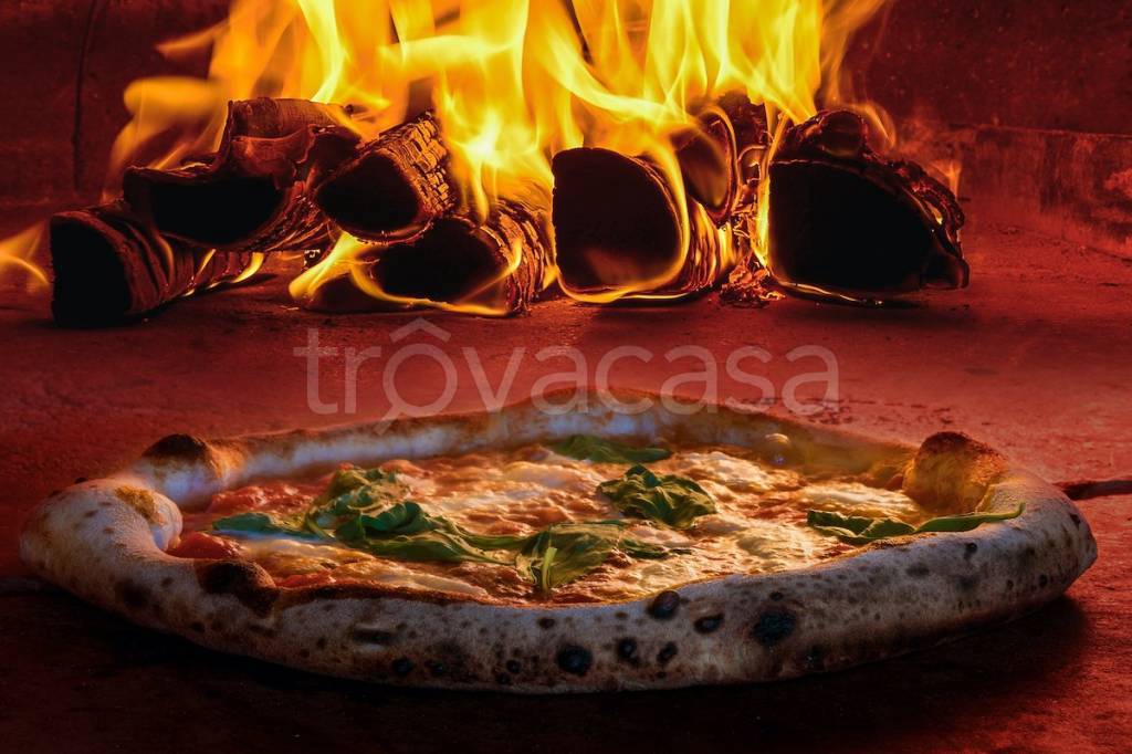 immagine annuncio 0 di 8