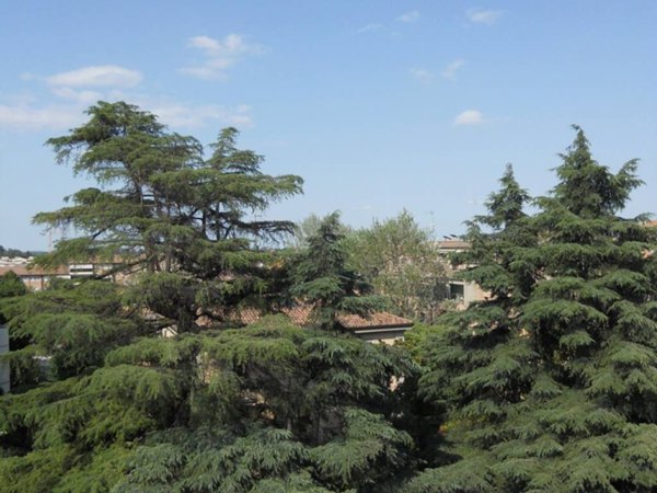 appartamento in vendita a San Lazzaro di Savena