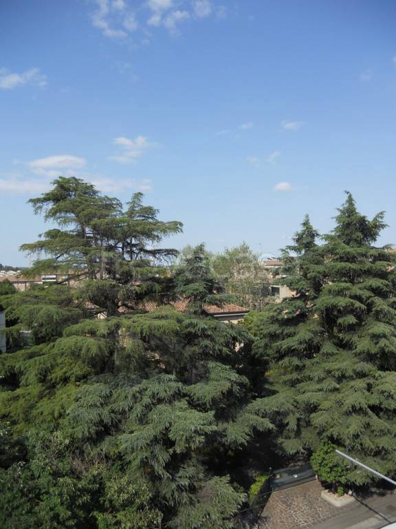 appartamento in vendita a San Lazzaro di Savena