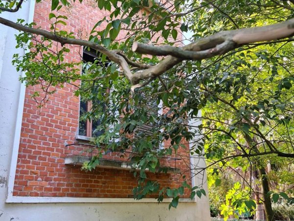 casa indipendente in vendita a San Lazzaro di Savena