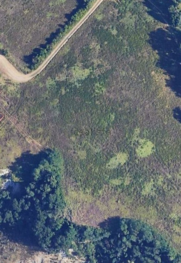 terreno agricolo in vendita a San Lazzaro di Savena