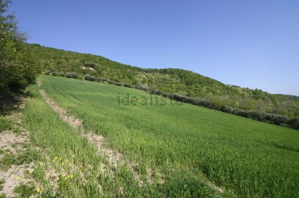 azienda agricola in vendita a San Lazzaro di Savena in zona Castel dei Britti