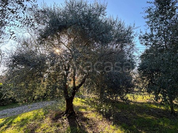 ufficio in vendita a San Lazzaro di Savena in zona Pulce