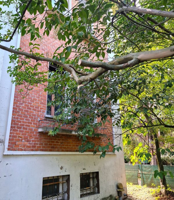 casa indipendente in vendita a San Lazzaro di Savena