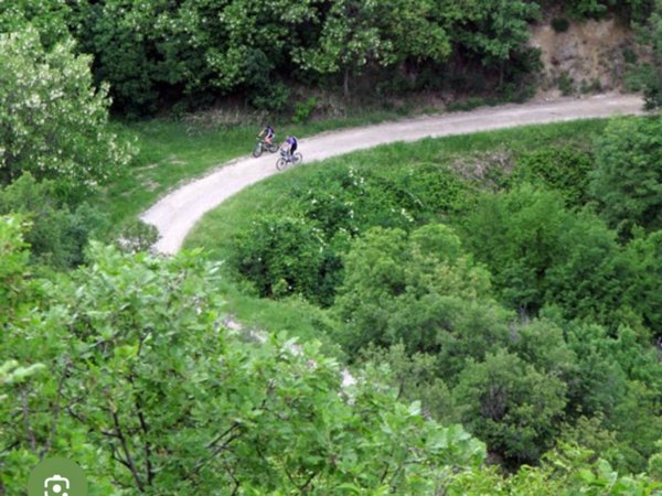 terreno agricolo in vendita a San Lazzaro di Savena in zona Farneto