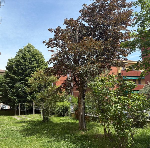 appartamento in vendita a San Lazzaro di Savena