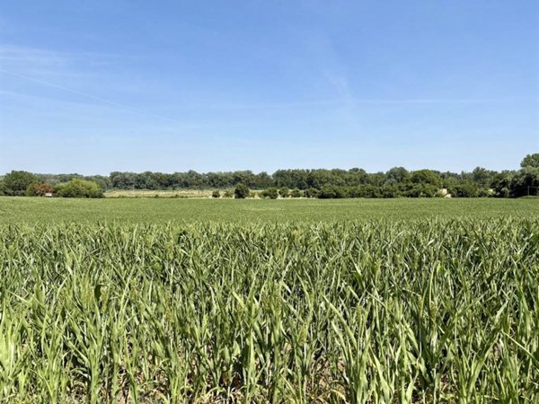 terreno agricolo in vendita a San Lazzaro di Savena in zona Idice
