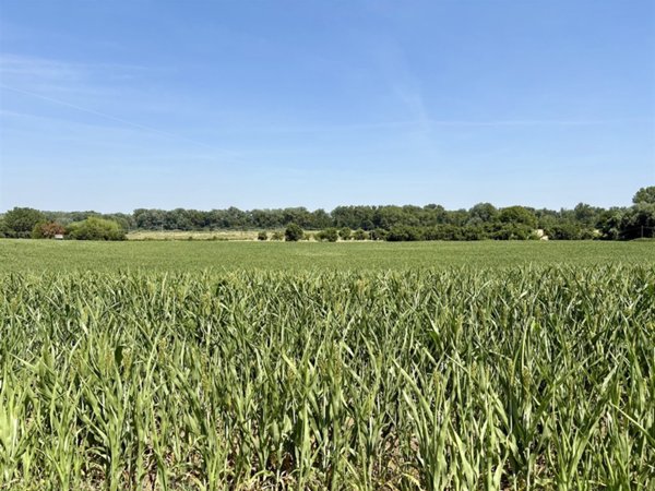 terreno agricolo in vendita a San Lazzaro di Savena in zona Idice
