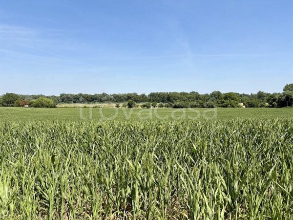 terreno agricolo in vendita a San Lazzaro di Savena in zona Idice