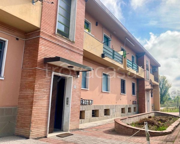 appartamento in vendita a San Pietro in Casale