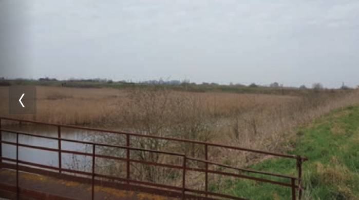 casa indipendente in vendita a San Pietro in Casale