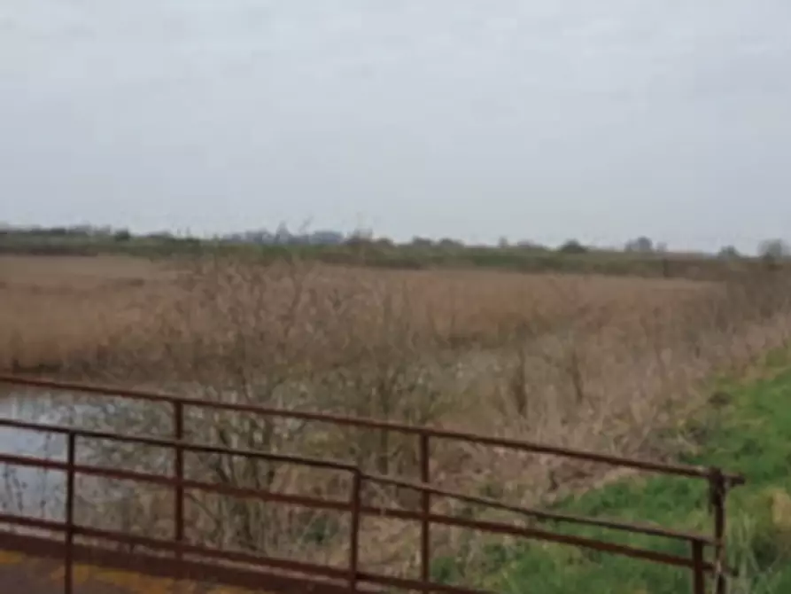 casa indipendente in vendita a San Pietro in Casale