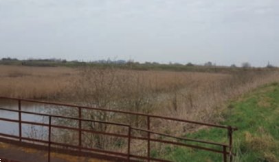 casa indipendente in vendita a San Pietro in Casale