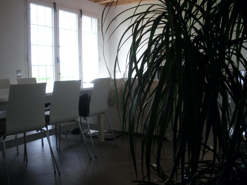 casa indipendente in vendita a Sant'Agata Bolognese