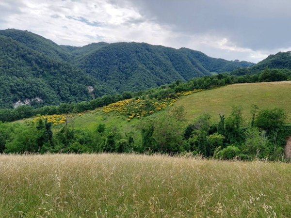 terreno agricolo in vendita a Sasso Marconi