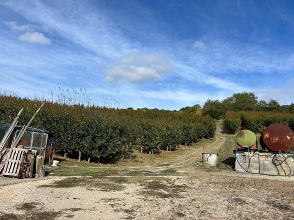 terreno agricolo in vendita a Sasso Marconi