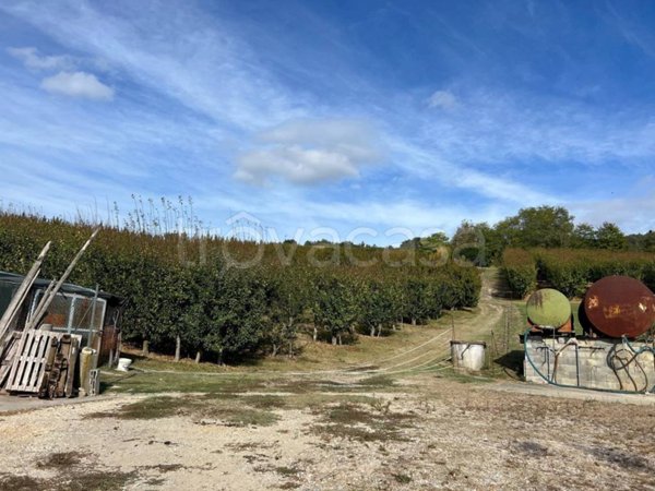 terreno agricolo in vendita a Sasso Marconi
