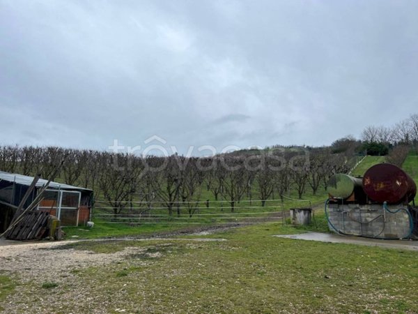 terreno agricolo in vendita a Sasso Marconi