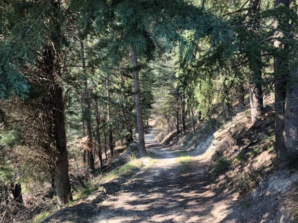 appartamento in vendita a Sasso Marconi